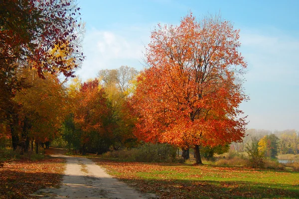 Paysage de parc d'automne — Photo