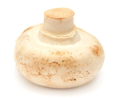 champignon mantarı