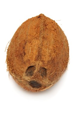 Beyaz arkaplanda hindistan cevizi