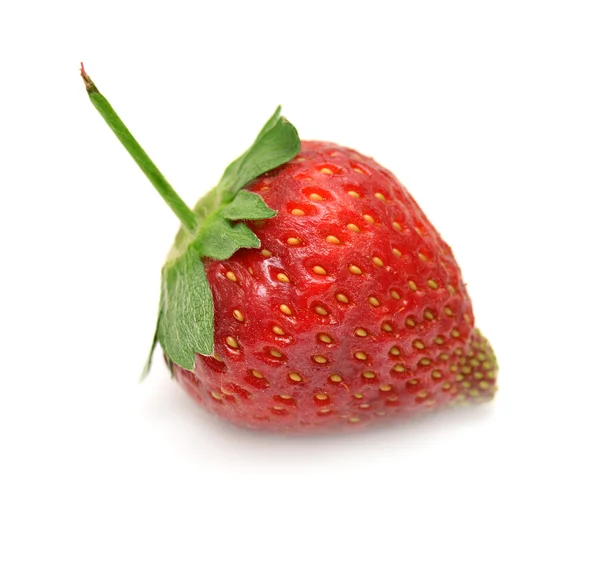 Strawberry on white background — Stock Photo, Image