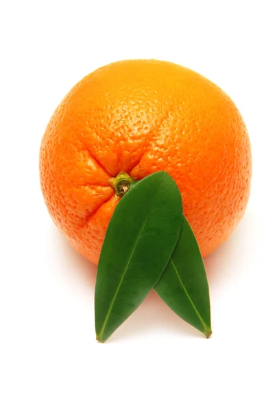 Сладкий апельсин — стоковое фото