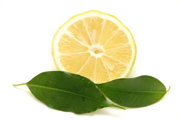 Lemon on white background — Stock Photo, Image