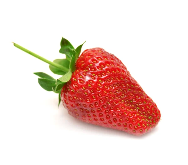 Strawberry on white background — Stock Photo, Image