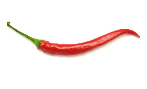 Red hot chili pepper — Stock Photo, Image