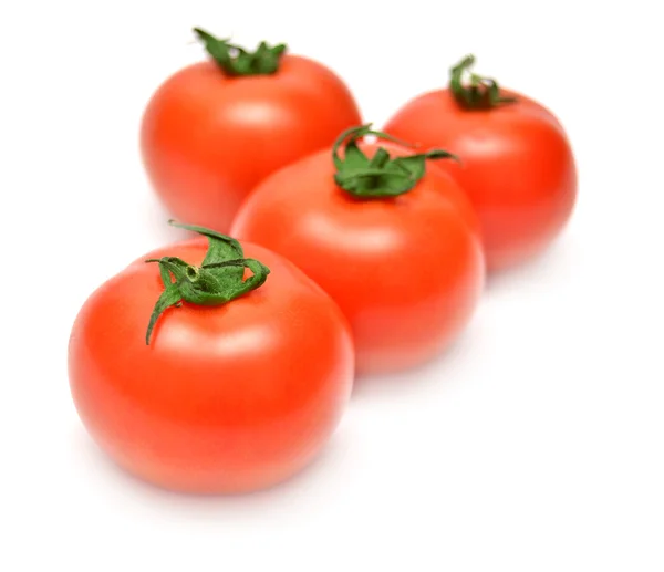 Tomate auf weißem Hintergrund — Stockfoto