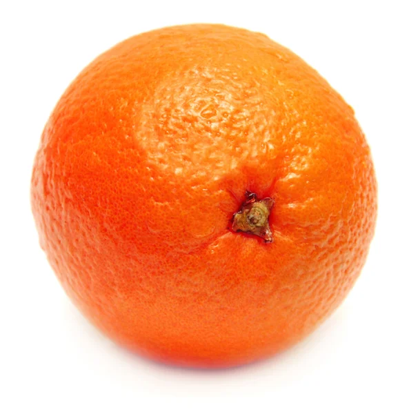Oranye pada latar belakang putih — Stok Foto