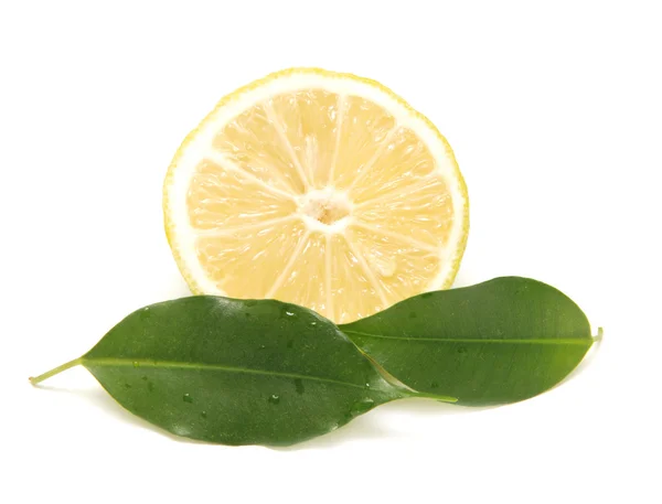 Lemon on white background — Stock Photo, Image