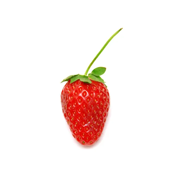 Strawberry on white background — Stock Photo, Image