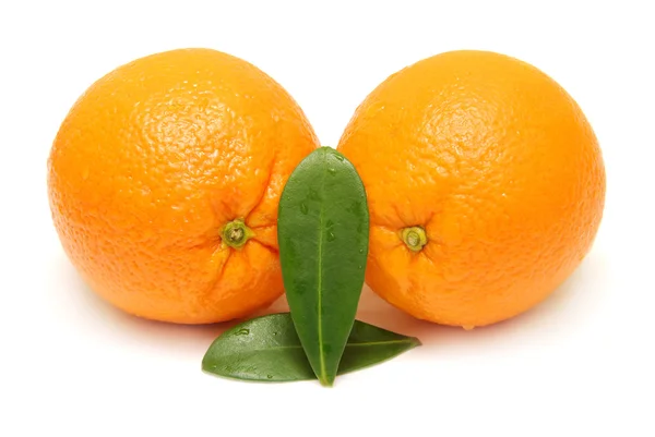 Fruta naranja dulce — Foto de Stock