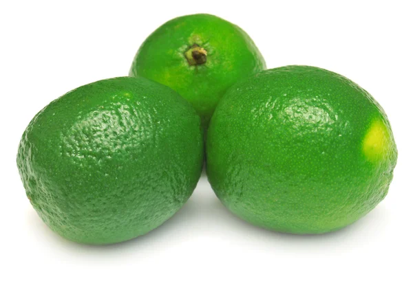 Limes op witte achtergrond — Stockfoto