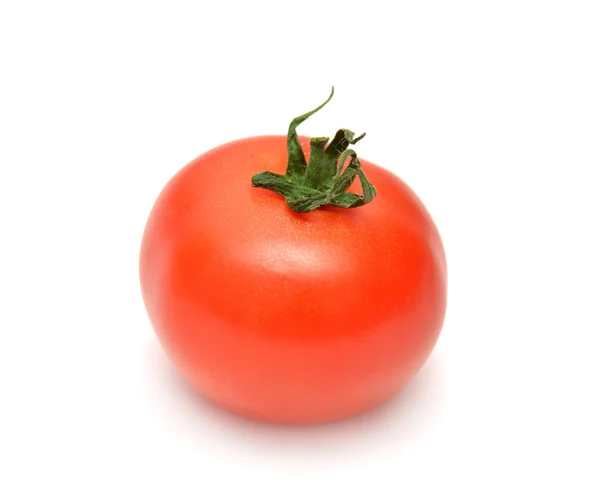 Tomate auf weißem Hintergrund — Stockfoto