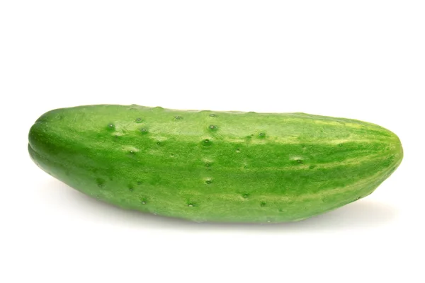 Beyaz arkaplanda salatalık — Stok fotoğraf