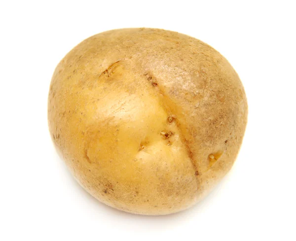 Aardappel op witte achtergrond — Stockfoto