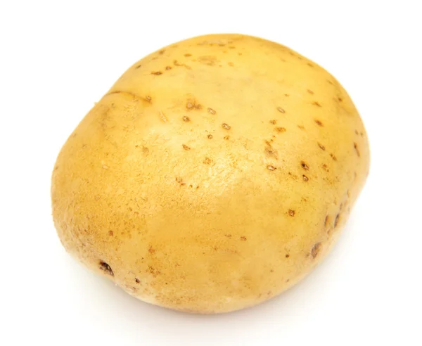 Potato on white background — Stock Photo, Image