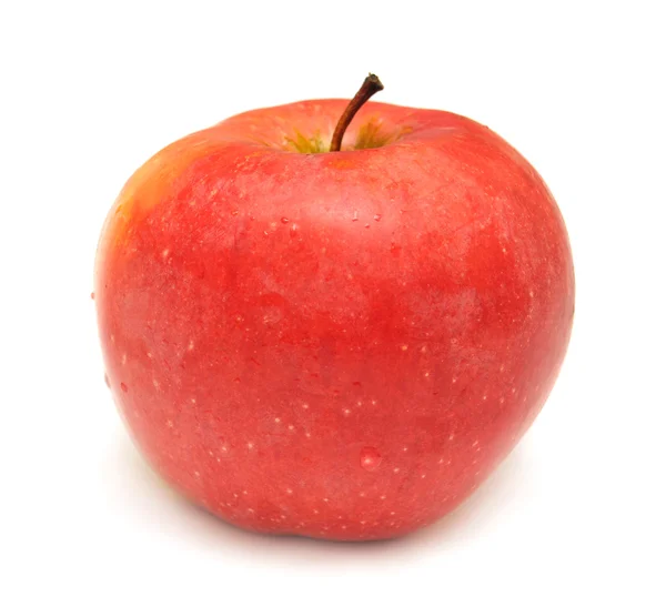 Manzana roja — Foto de Stock