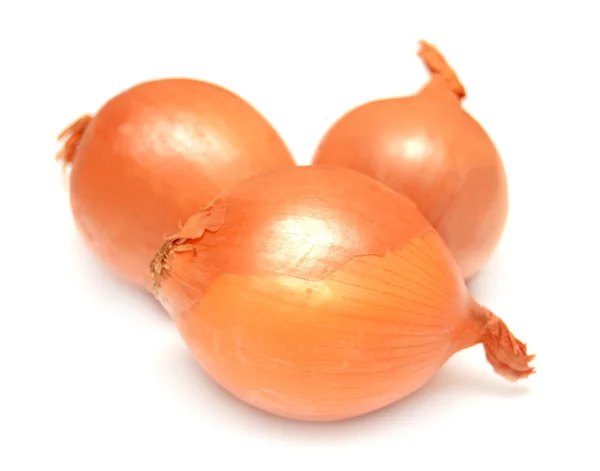 Zwiebel auf weißem Hintergrund — Stockfoto