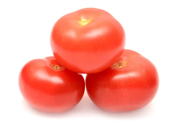흰 배경의 토마토 — 스톡 사진