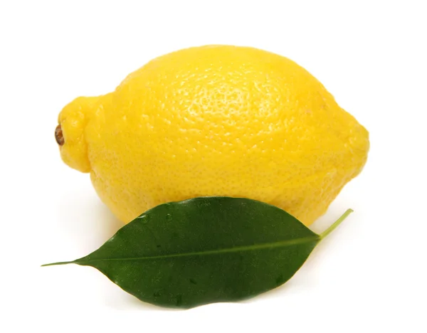 Лимон і листя — стокове фото