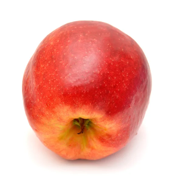 Rött äpple — Stockfoto