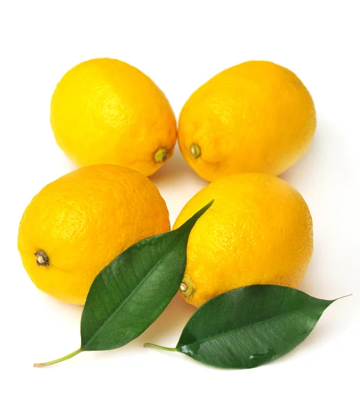Limones y hojas — Foto de Stock