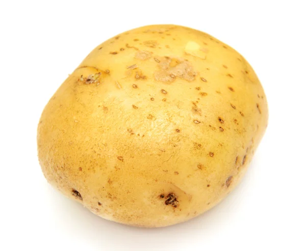Potato on white background — Stock Photo, Image