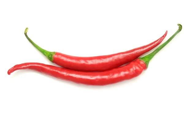 Two red hot chili pepper — Stock Photo, Image