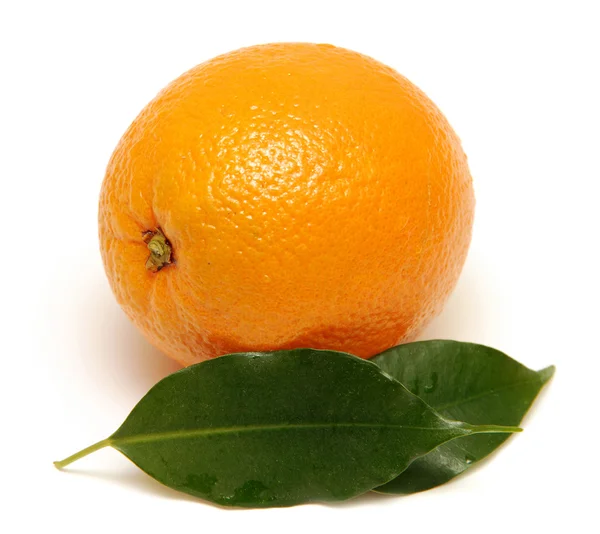 Söt orange frukt — Stockfoto