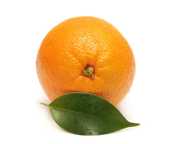 Sweet orange fruit — Stock Photo, Image