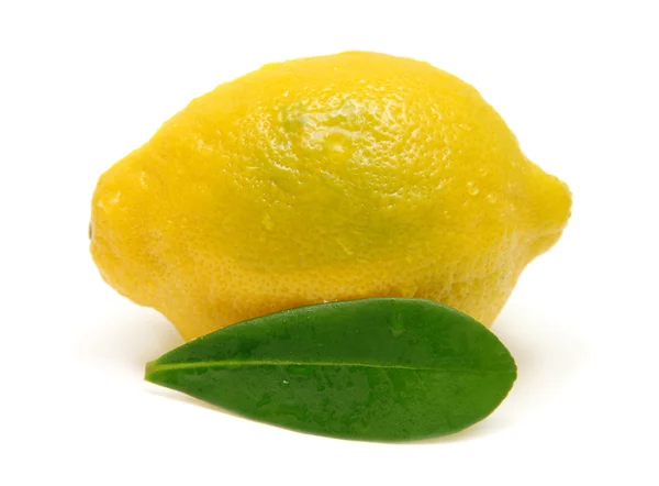레몬과 잎 — 스톡 사진