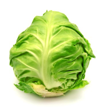 Beyaz arkaplanda lahana