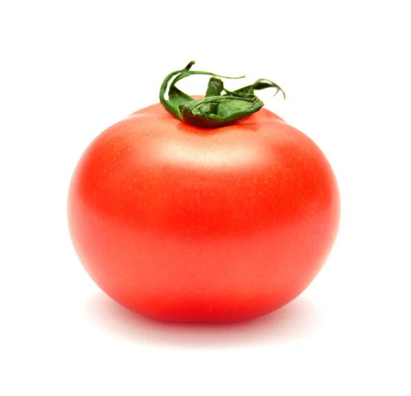 흰 바탕에 있는 토마토 — 스톡 사진