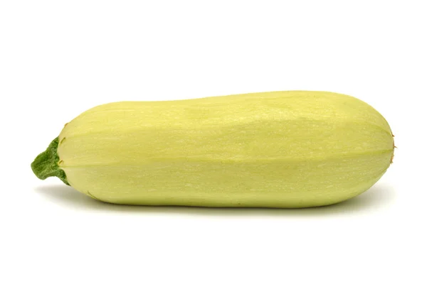 Eine frische Zucchini — Stockfoto