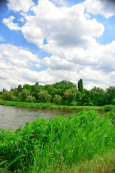 Paesaggio estivo — Foto Stock