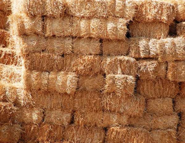 Haystack texture — Stock Photo, Image