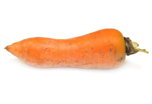 Carrot — Stock Photo, Image