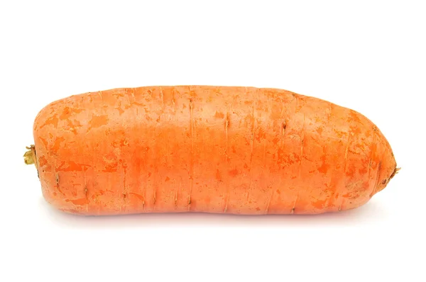 Carrot — Stock Photo, Image