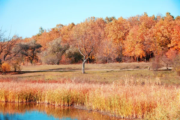 Herbstliche Landschaft — Stockfoto