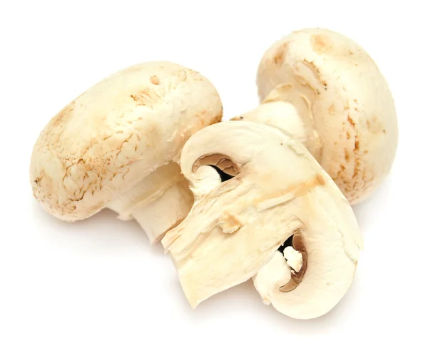 Champignon mushroom Royalty Free Stock Photos