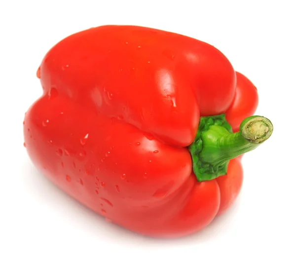 Red pepper Stock Image