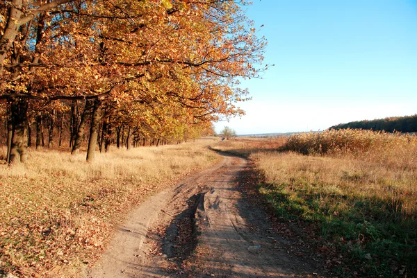 Autunno — Foto Stock