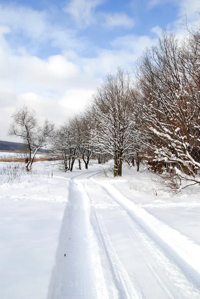 Paisaje invierno —  Fotos de Stock