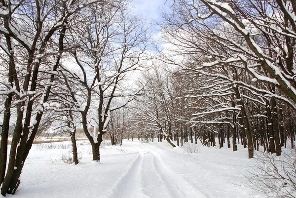 Paisaje invierno —  Fotos de Stock