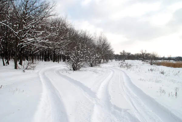 Winter landscape — Stock Photo, Image