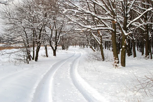 Paisagem inverno — Fotografia de Stock