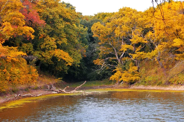 Herbstliche Landschaft — Stockfoto