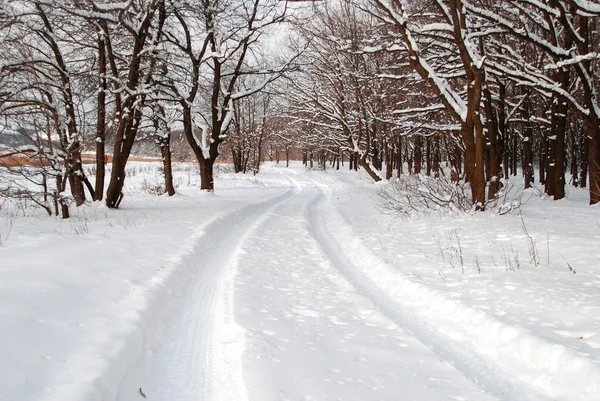 Paisagem inverno — Fotografia de Stock