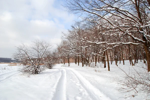 Paisaje invierno —  Fotos de Stock