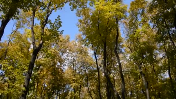 Paysage d'automne