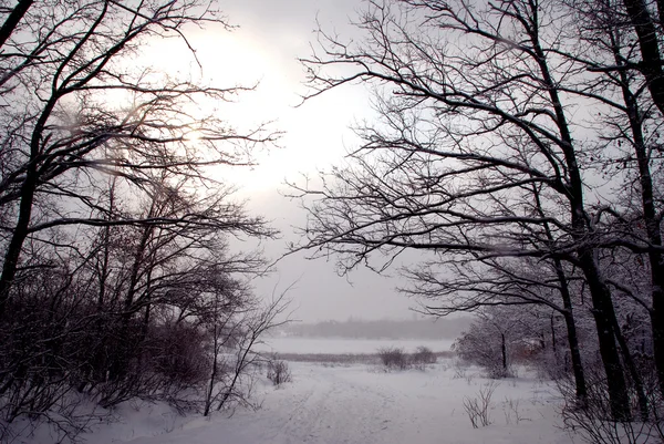 Winterlandschap — Stockfoto