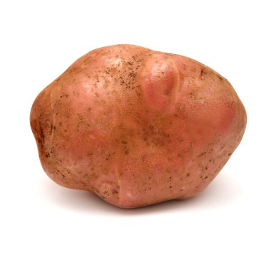 patates
